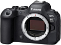 Canon EOS R6 Mark II Kit