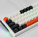 Cyberlynx ZA68 White black orange TNT Yellow