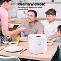 Lauben Low Sugar Rice Cooker 3000WT