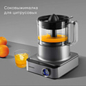 Redmond FP608 (серый) Redmond FP608 (серый)