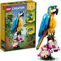LEGO Creator 31136 Экзотический попугай
