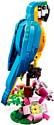 LEGO Creator 31136 Экзотический попугай