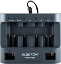 Robiton MultiCharger 2