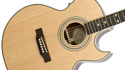 Epiphone PR-5E Natural