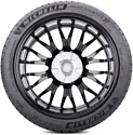 Michelin Pilot Sport 4 S 245/45 R20 103Y