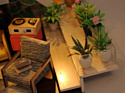 Hobby Day DIY Mini House Эколофт (M031)
