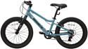 Maxiscoo 5Bike 20 L (2024)