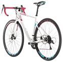 Cube Axial WS Pro Disc (2019)