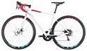 Cube Axial WS Pro Disc (2019)