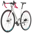 Cube Axial WS Pro Disc (2019)