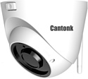 Cantonk IP-D555iRV2812-W