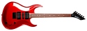 Washburn WM17