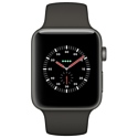 Apple Watch Edition Series 3 38mm with Sport Band