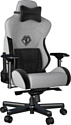 AndaSeat T-Pro 2 (серый/черный)