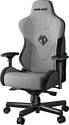 AndaSeat T-Pro 2 (серый/черный)