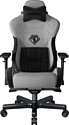 AndaSeat T-Pro 2 (серый/черный)