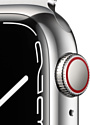 Apple Watch Series 7 LTE 41 мм (миланский)