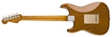 Fender 2018 Artisan Ziricote Strat