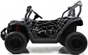 RiverToys P333PP Buggy (черный Spider)