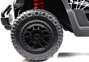 RiverToys P333PP Buggy (черный Spider)