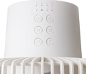 Xiaomi Mijia Variable Frequency Circulating Fan (BPLDS06DM)