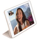 Apple Smart Case for iPad Air 2 (MGT-2ZM/A)