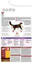 Purina Pro Plan Adult feline rich in Chicken dry (10 кг)