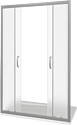 Good Door Infinity WTW-TD 150 (матовое/хром)