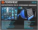 FORSAGE F-K5136 13 предметов