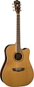 Washburn WD21SCE