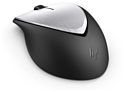 HP Envy Rechargeable Mouse 500 2LX92AA black-Silver USB