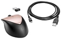 HP Envy Rechargeable Mouse 500 2LX92AA black-Silver USB