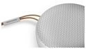 Bang & Olufsen Beosound A1 2nd Gen