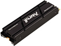 Kingston Fury Renegade 4TB SFYRDK/4000G