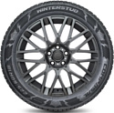 Compasal Winter Stud 225/45 R18 95T (шипы)