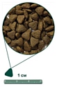 Arden Grange (2 кг) Adult Mini ягненок и рис для взрослых собак мелких пород