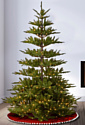 National Tree Company Glenwood Fir 2.25 м (PEGW3-307P-75)