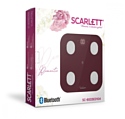 Scarlett SC-BS33ED104
