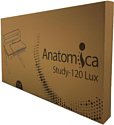 Anatomica Study-120 Lux (белый/голубой)