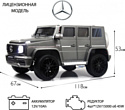 RiverToys Mercedes-Benz G65 E111EE (серый глянец)