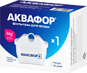 Аквафор Maxfor+ Mg