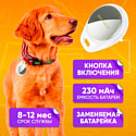 Borofone BC100