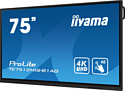 Iiyama ProLite TE7512MIS-B1AG