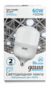 Gauss Elementary LED T160 E27 60W 5400lm 5400lm 180-240V 4000K (63226)