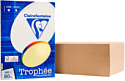 Clairefontaine Trophee A4 80 г/кв.м 100 л 4107C (светло-желтый)