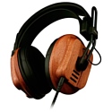 Fostex T60RP