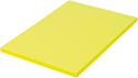BRAUBERG А4 80 г/м2 100 л 112454 (лимонно-желтый)