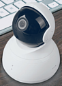 YI 1080p Dome Camera международная версия (белый)