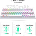 Royal Kludge RK84 ISO RGB white, RK Red Royal Kludge RK84 ISO RGB white, RK Red