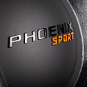 DL Audio Phoenix Sport 15 DL Audio Phoenix Sport 15
